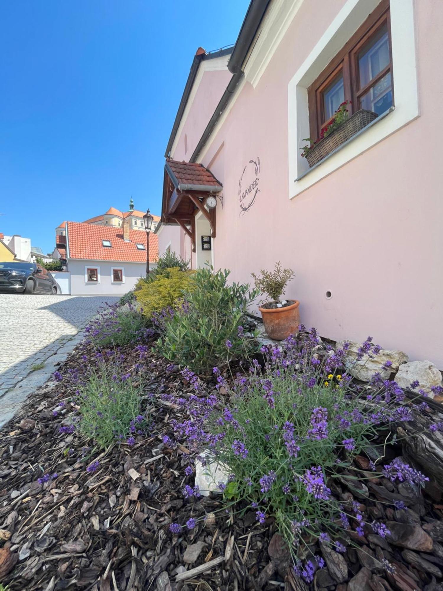 Apartmány Lavander Mikulov Esterno foto